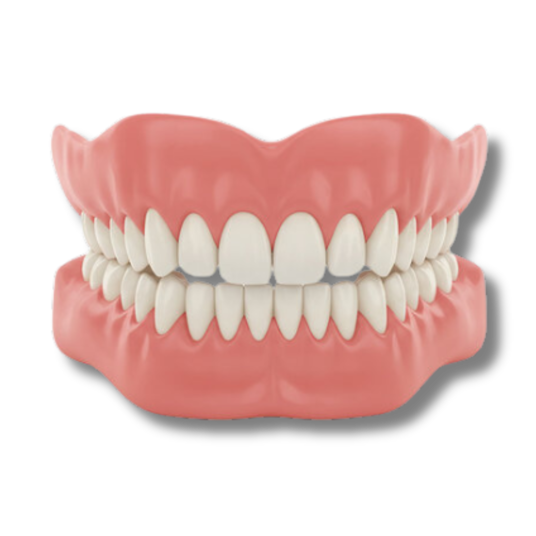 Seriava™ - Denture Set